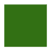 Green Square Image
